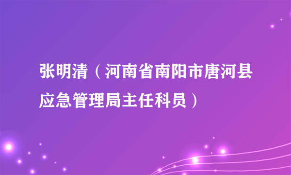 张明清（河南省南阳市唐河县应急管理局主任科员）