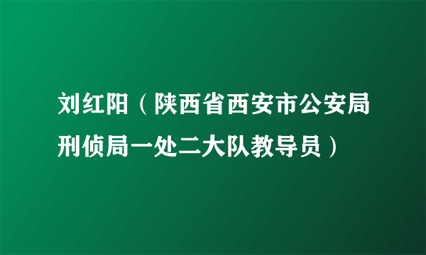 刘红阳（陕西省西安市公安局刑侦局一处二大队教导员）