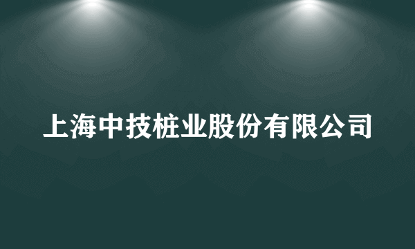 上海中技桩业股份有限公司