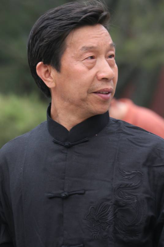 杨松泉（陈氏太极大师）