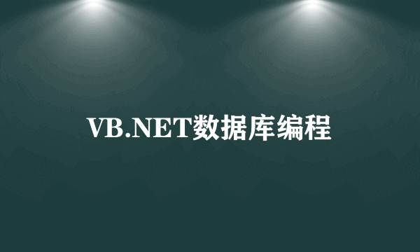 VB.NET数据库编程