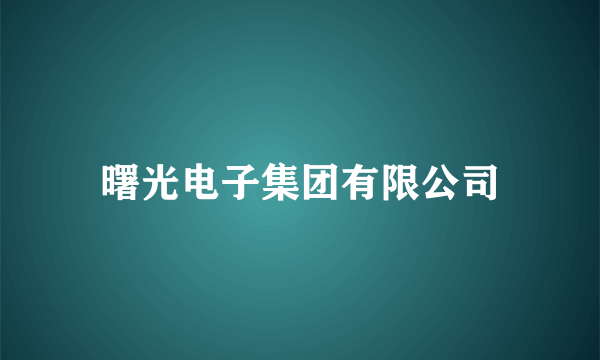 曙光电子集团有限公司