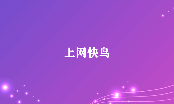 上网快鸟