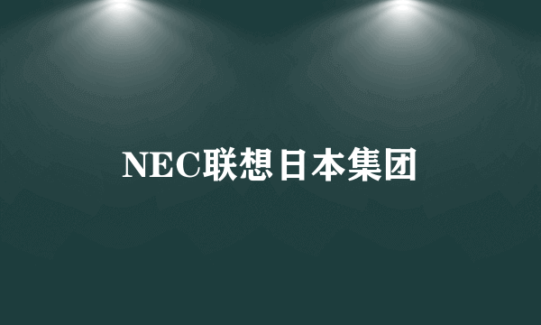 NEC联想日本集团