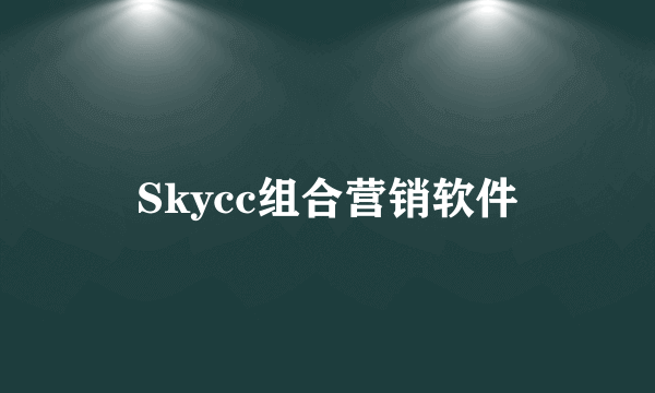 Skycc组合营销软件