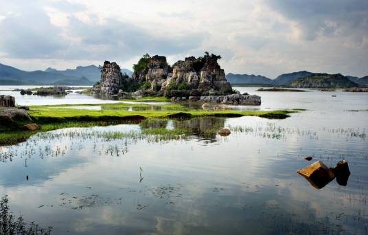 海峰湿地