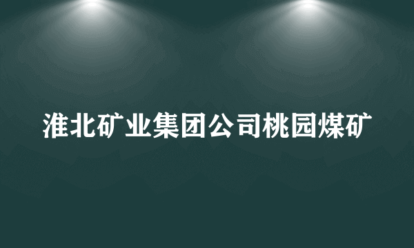 淮北矿业集团公司桃园煤矿