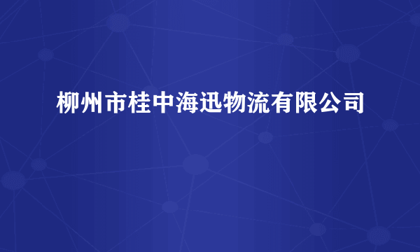 柳州市桂中海迅物流有限公司