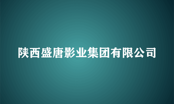 陕西盛唐影业集团有限公司