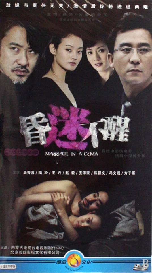 昏迷不醒（2009年电视剧）