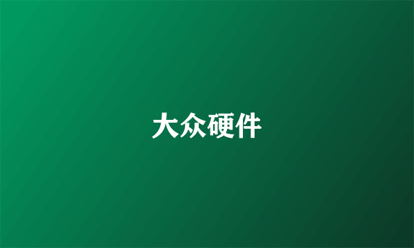 大众硬件