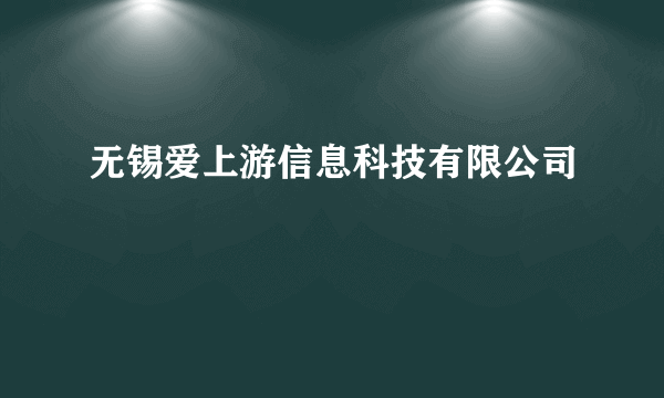 无锡爱上游信息科技有限公司