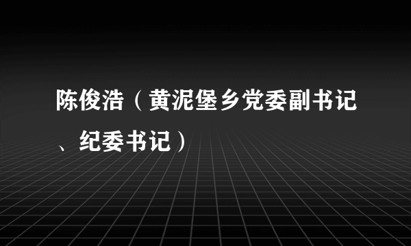 陈俊浩（黄泥堡乡党委副书记、纪委书记）