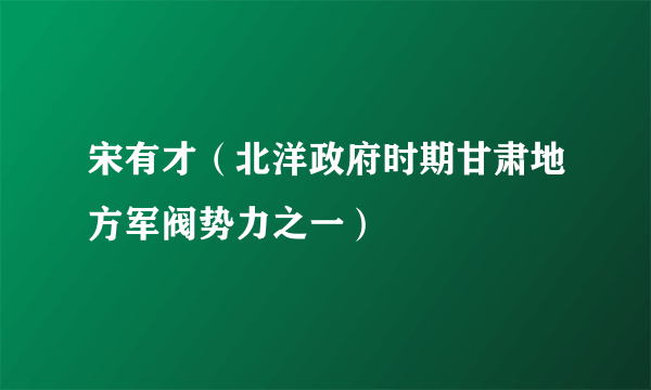 宋有才（北洋政府时期甘肃地方军阀势力之一）