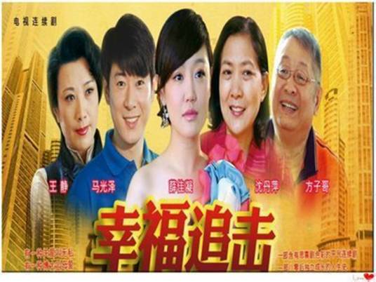 幸福追击（2012年薛佳凝主演大陆电视剧）