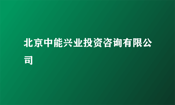 北京中能兴业投资咨询有限公司