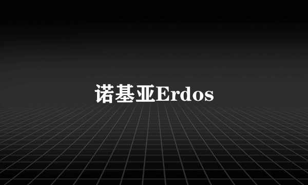 诺基亚Erdos