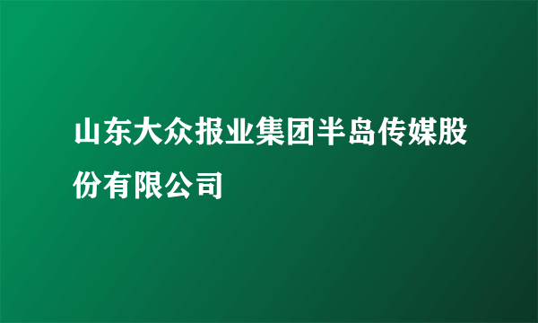 山东大众报业集团半岛传媒股份有限公司