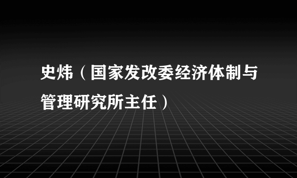 史炜（国家发改委经济体制与管理研究所主任）