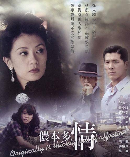 侬本多情（2009年贾静雯主演电视剧）