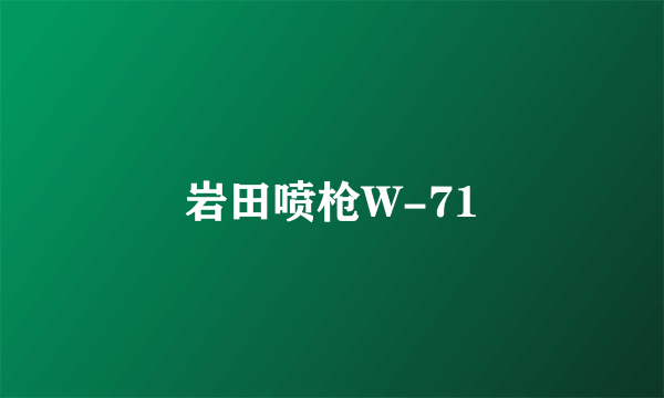 岩田喷枪W-71