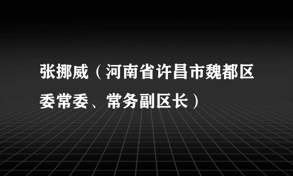 张挪威（河南省许昌市魏都区委常委、常务副区长）