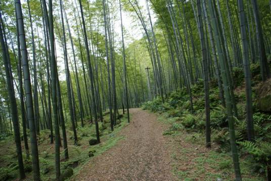 玉龙山