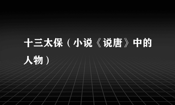 十三太保（小说《说唐》中的人物）