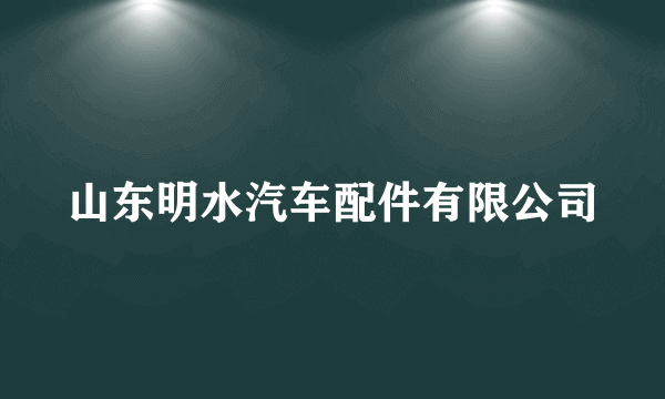 山东明水汽车配件有限公司