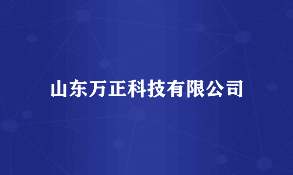 山东万正科技有限公司