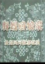 胖嫂回娘家（1956年上海电影制片厂出品的虞哲光执导电影）