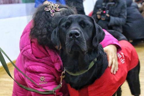 导盲犬珍妮（中国第一位女盲人钢琴调律师）