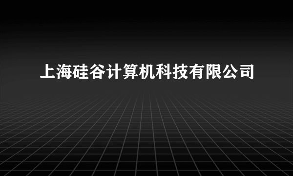 上海硅谷计算机科技有限公司