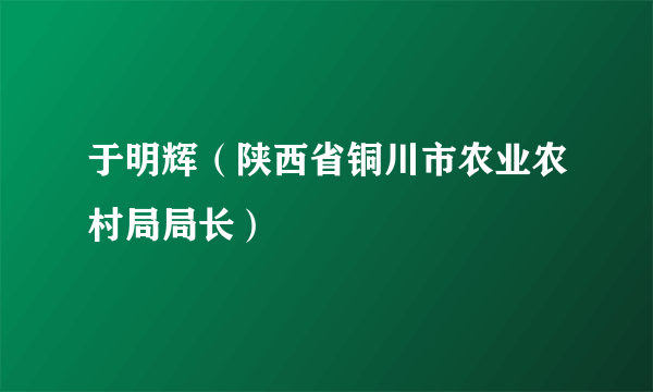 于明辉（陕西省铜川市农业农村局局长）