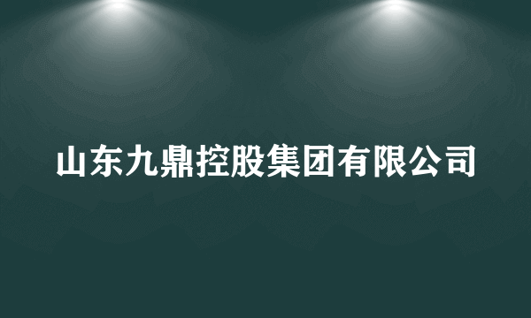 山东九鼎控股集团有限公司