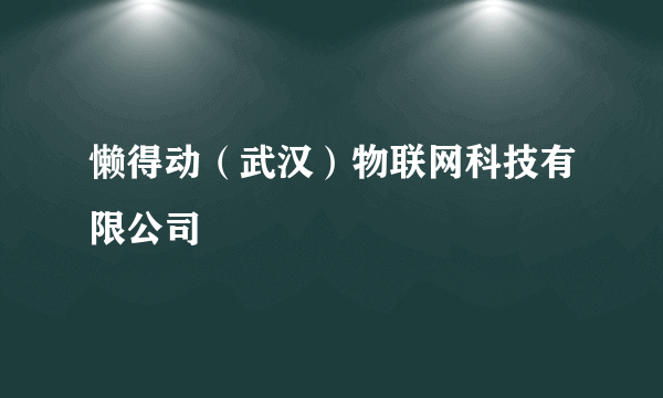 懒得动（武汉）物联网科技有限公司