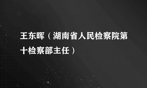 王东晖（湖南省人民检察院第十检察部主任）