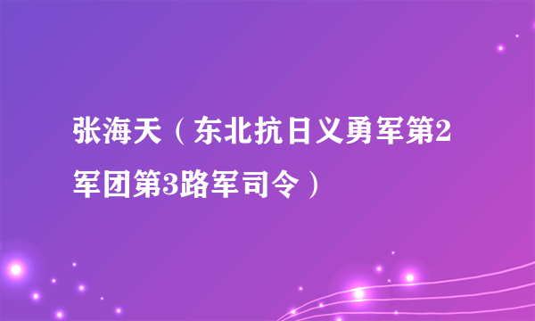 张海天（东北抗日义勇军第2军团第3路军司令）