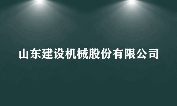 山东建设机械股份有限公司