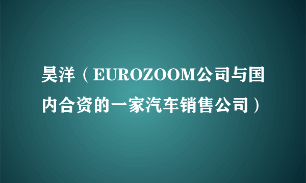 昊洋（EUROZOOM公司与国内合资的一家汽车销售公司）