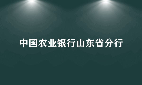 中国农业银行山东省分行