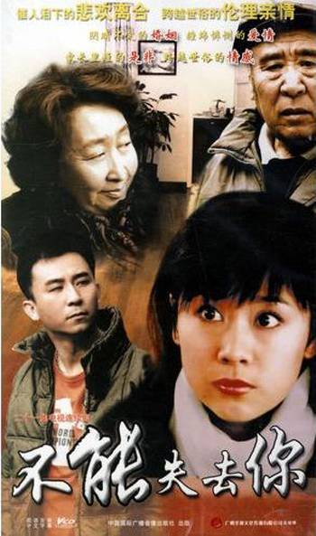 不能失去你（2006年海清主演电视剧）