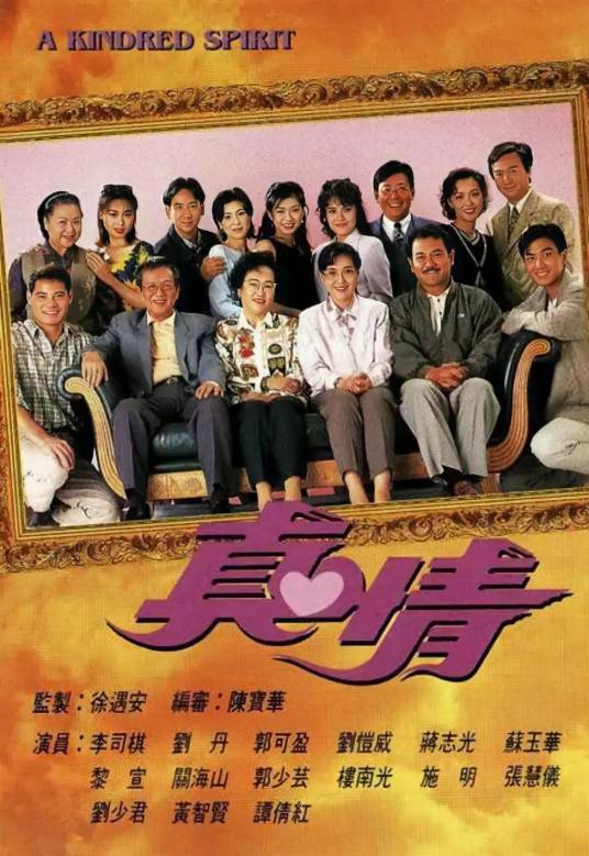 真情（1995年李司棋、刘丹主演电视剧）