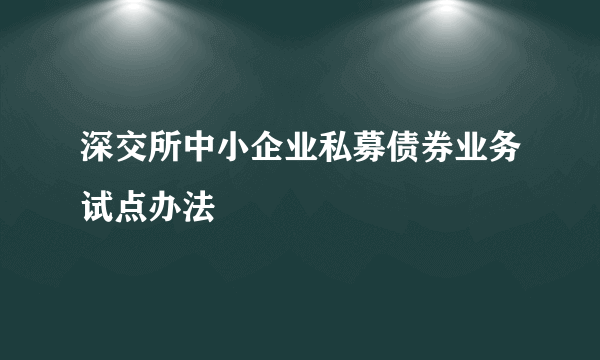 深交所中小企业私募债券业务试点办法