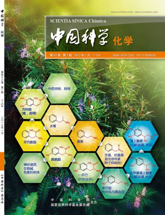 中国科学（自然科学综合学术刊物）