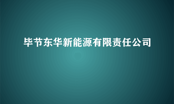 毕节东华新能源有限责任公司