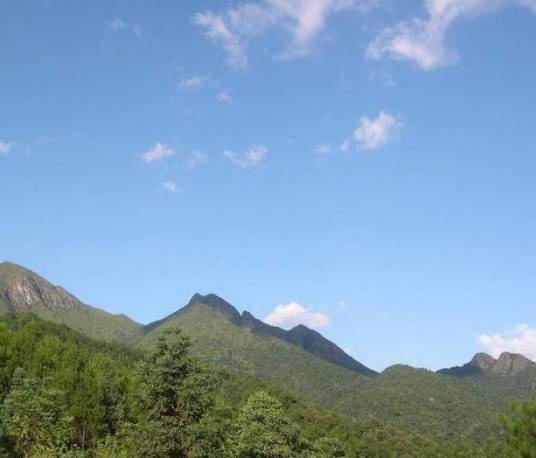 梅花山（福建省龙岩市景点）