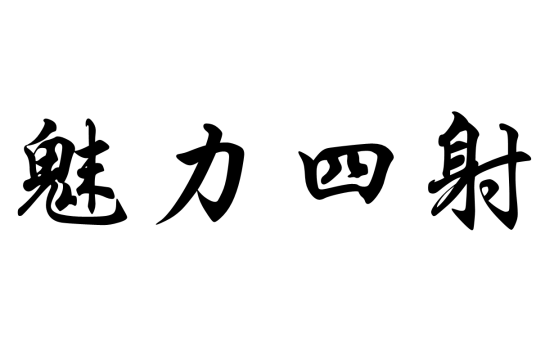 魅力四射（讯连科技制作发行软件产品）