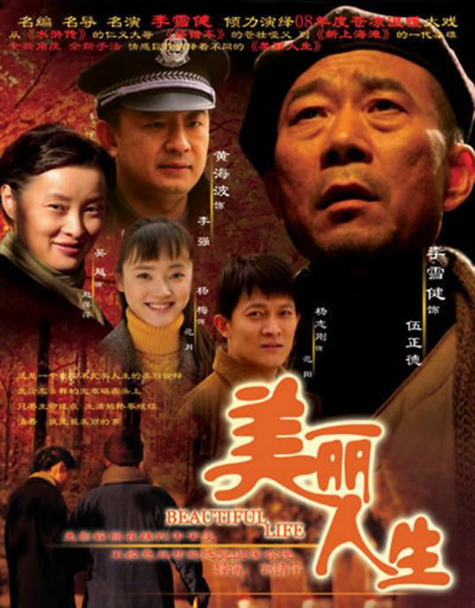 美丽人生（2008年郭靖宇执导的电视剧）