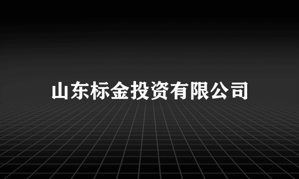 山东标金投资有限公司